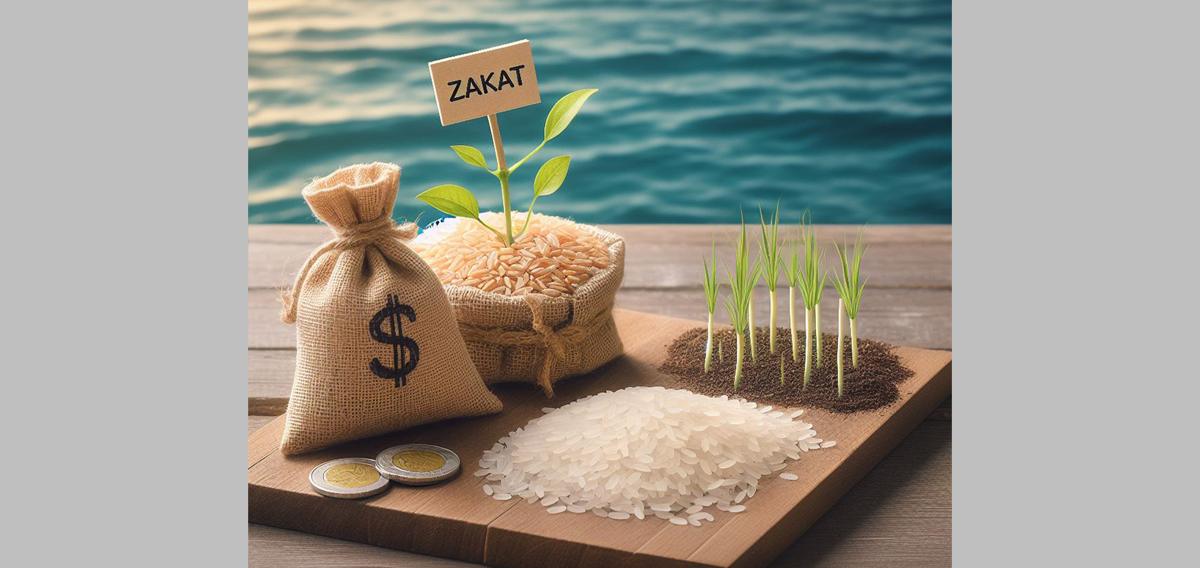 zakat -rules 